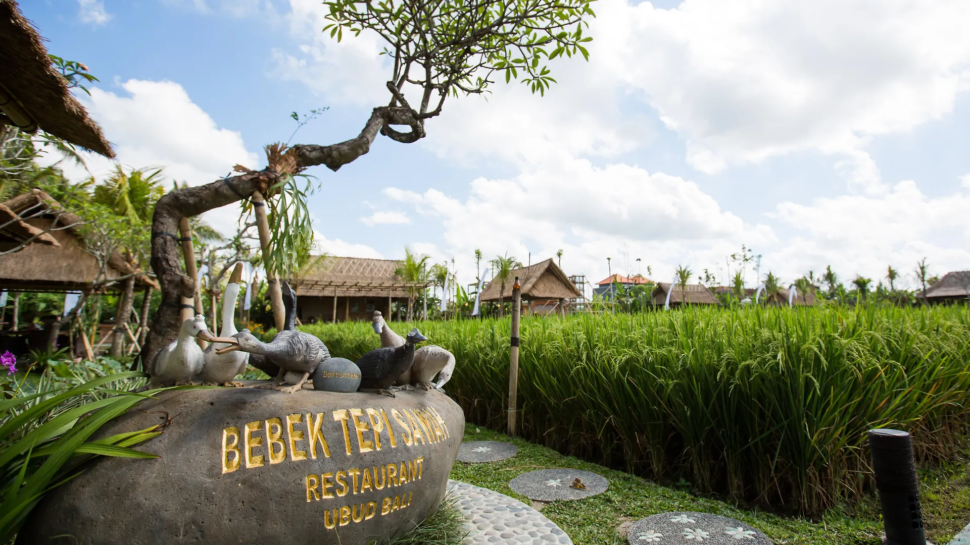 Bebek Tepi Sawah Restaurant & Villas Ubud