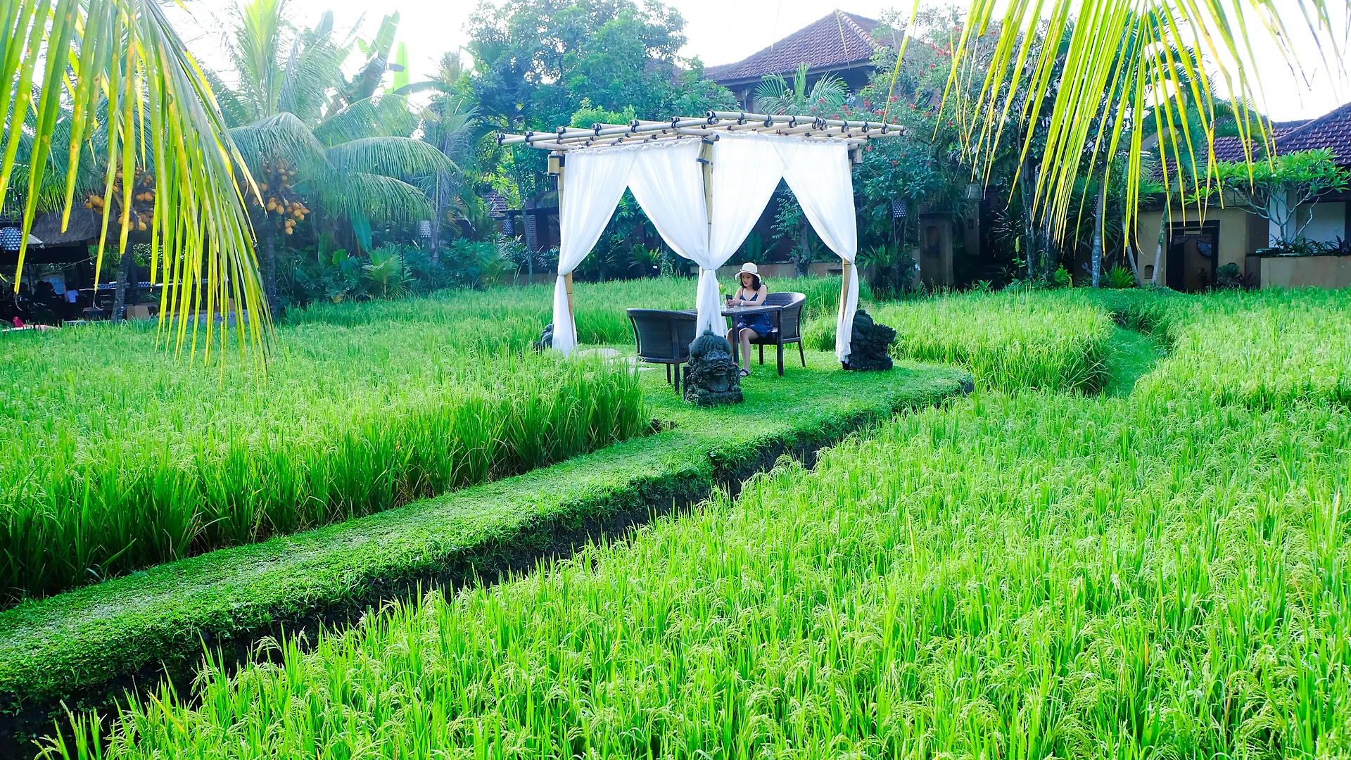Bebek Tepi Sawah Restaurant & Villas Ubud  4*, Ubud (Bali)