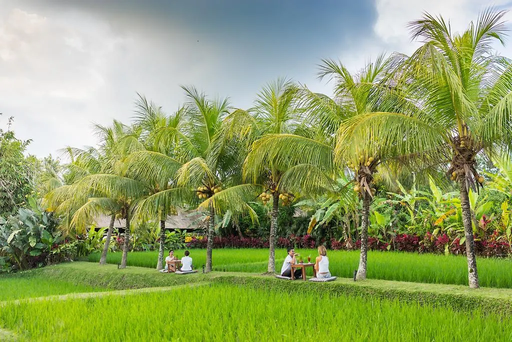 Bebek Tepi Sawah Restaurant & Villas Ubud  Ubud (Bali)